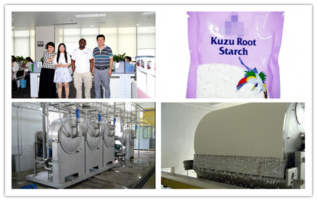 Kudzu Root Starch Production Li